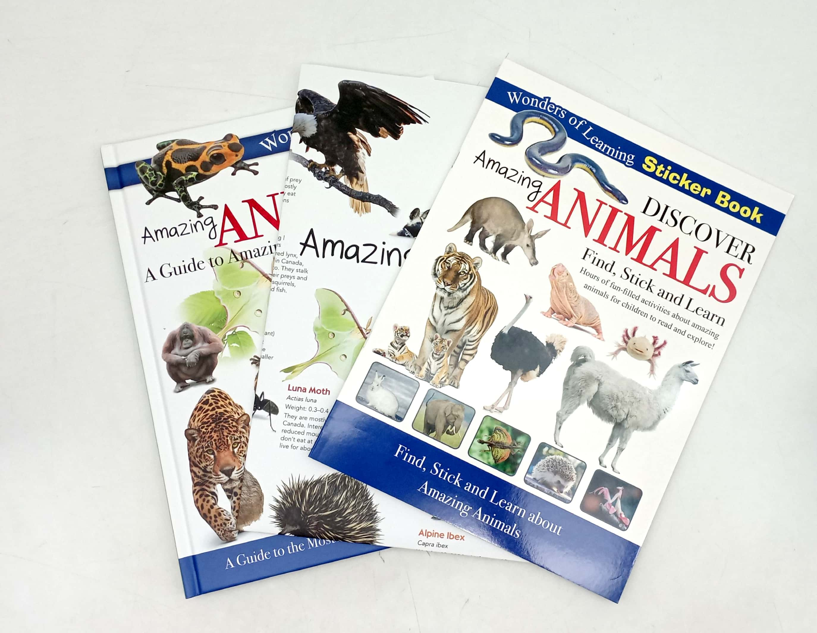 wonders of learning - educational box set - amazing animals - Ảnh 9