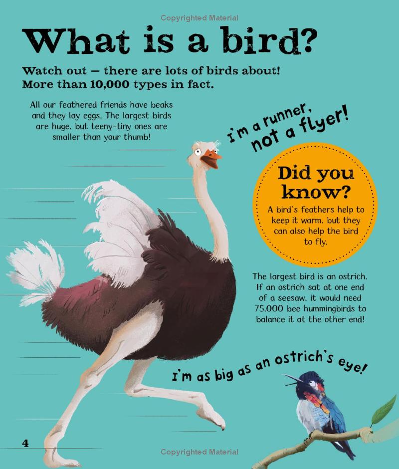 wow! birds - Ảnh 6