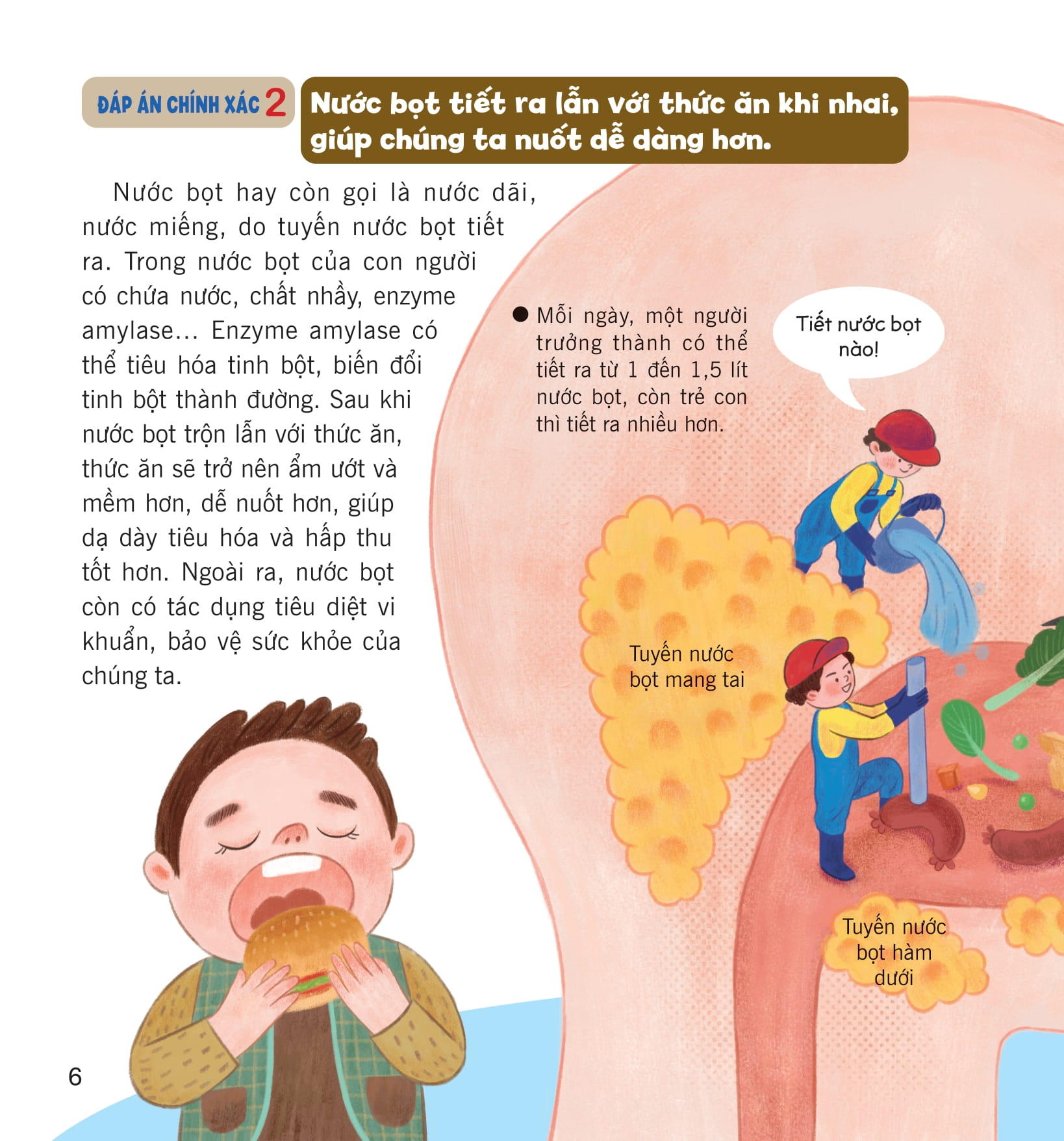 wow, thì ra là thế! - bí ẩn cơ thể người - Ảnh 12