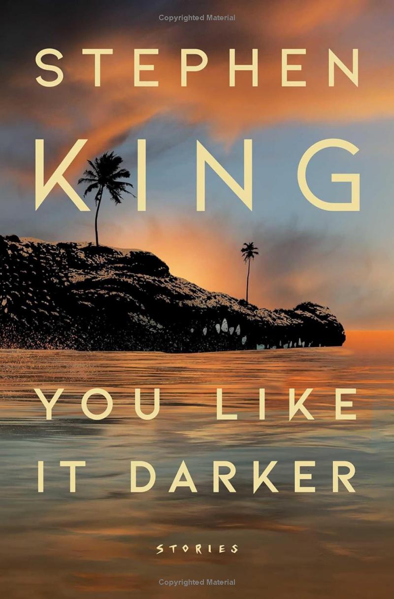 you like it darker - stories - Ảnh 2