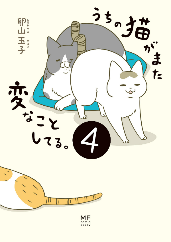 うちの猫がまた変なことしてる。- uchi no neko ga mata hen na koto shiteru. 4 - Ảnh 2